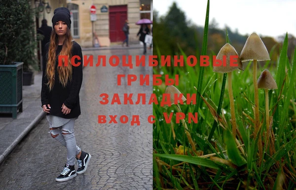 герыч Бронницы