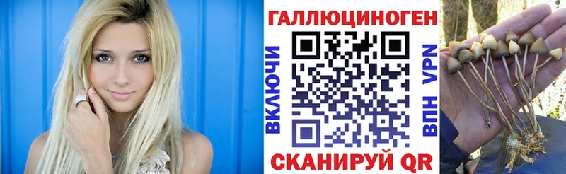 Купить закладки  Облучье  Псилоцибиновые грибы Psilocybine cubensis 